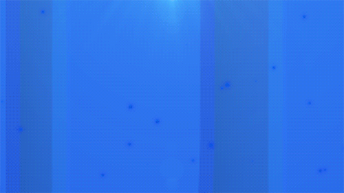 640.gif